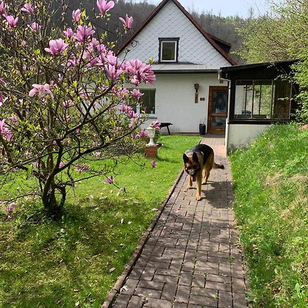 Ferienhaus Andrea Am Bodetal Treseburg Экстерьер фото