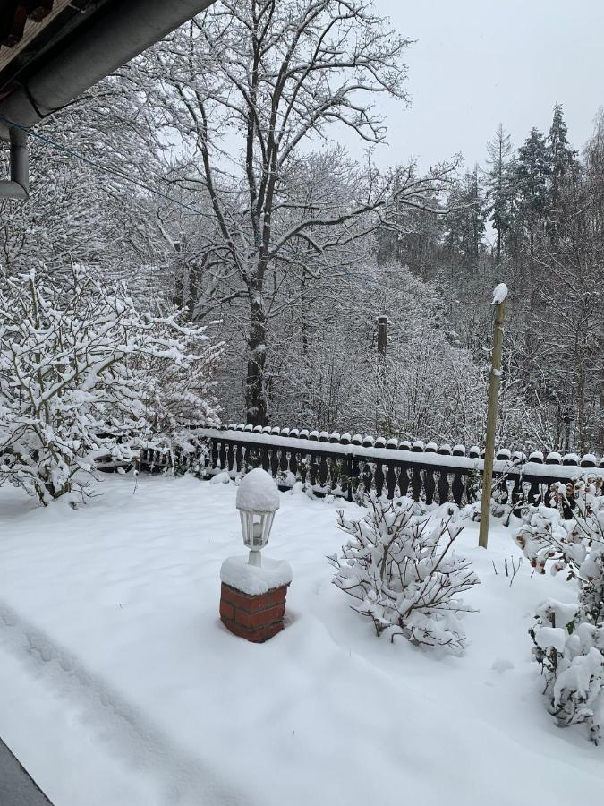 Ferienhaus Andrea Am Bodetal Treseburg Экстерьер фото