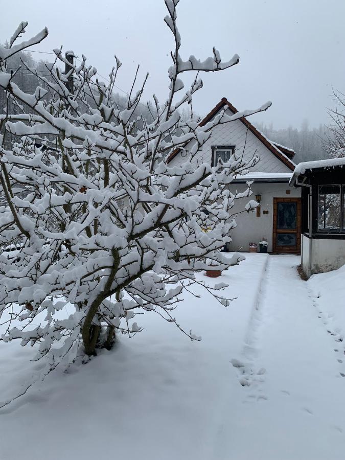 Ferienhaus Andrea Am Bodetal Treseburg Экстерьер фото