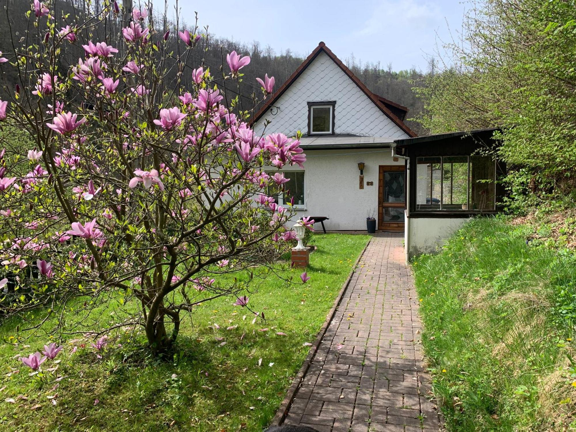 Ferienhaus Andrea Am Bodetal Treseburg Экстерьер фото
